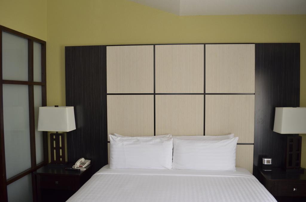 Super 8 By Wyndham Irving/dfw Apt/north